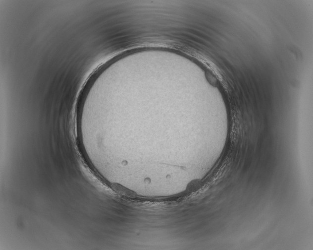 X0000112041080200908311231