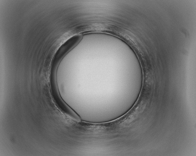 X0000112041081200908311231