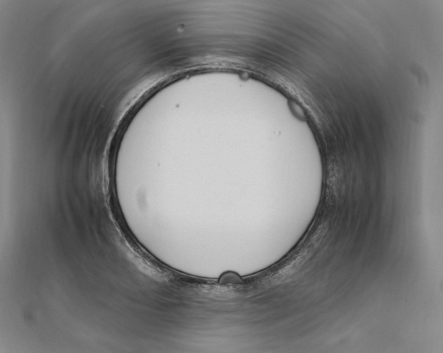 X0000112041082200908311231