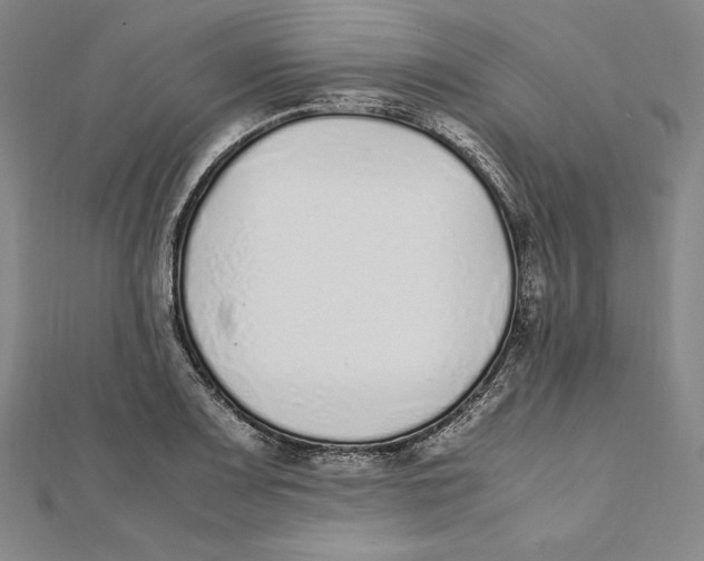 X0000112041083200908311231