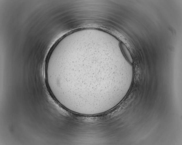 X0000112041084200908311231