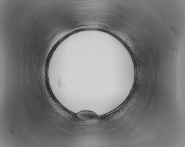 X0000112041085200908311231