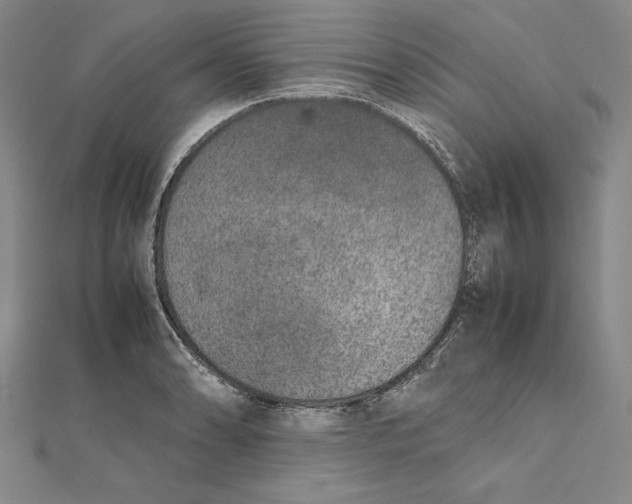 X0000112041086200908311231