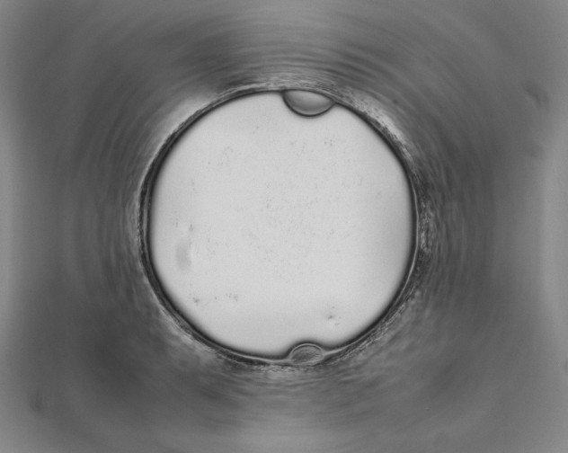 X0000112041087200908311231