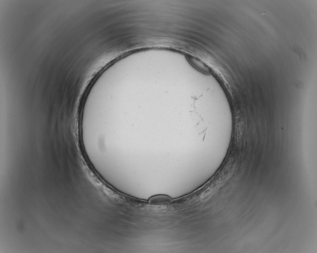 X0000112041088200908311231
