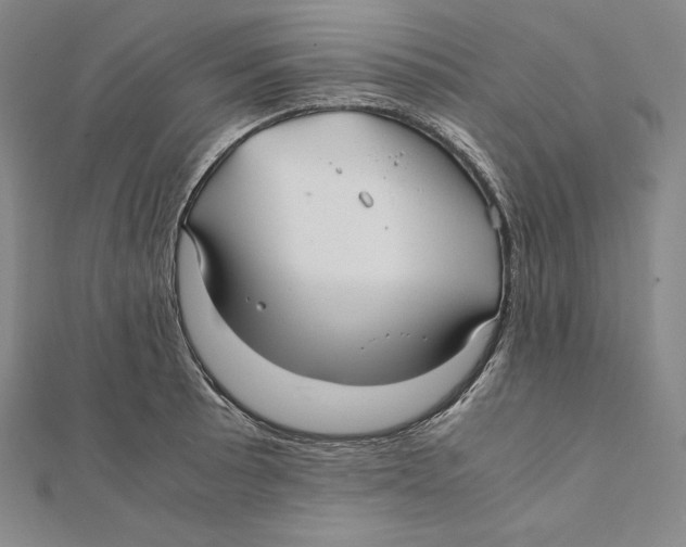 X0000112041089200908311231
