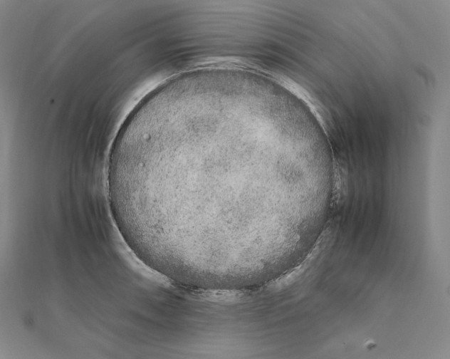 X0000112041090200908311231