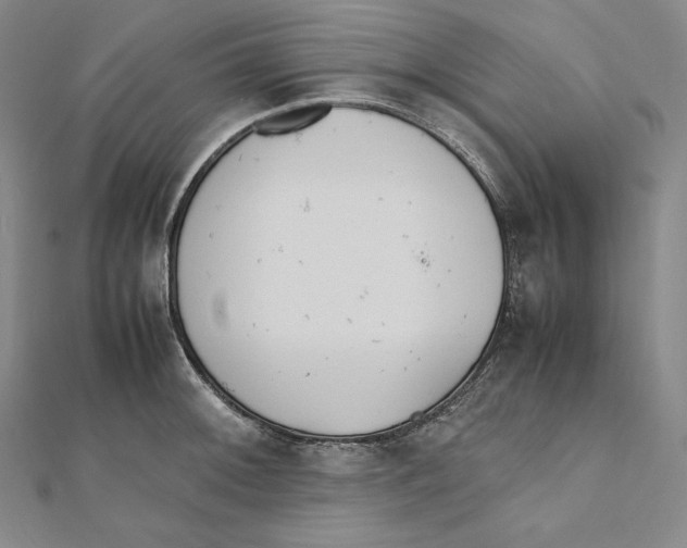 X0000112041092200908311231