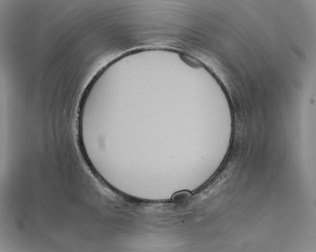 X0000112041093200908311231