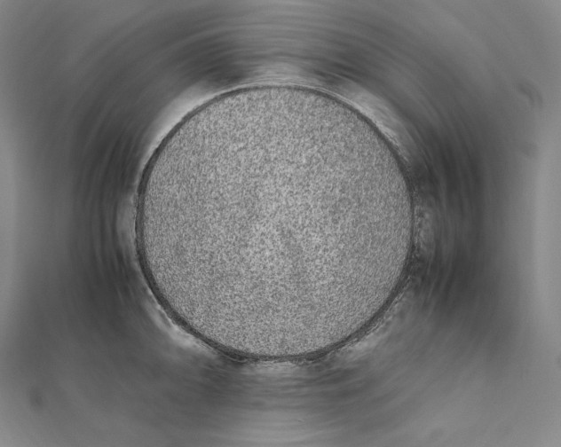 X0000112041094200908311231