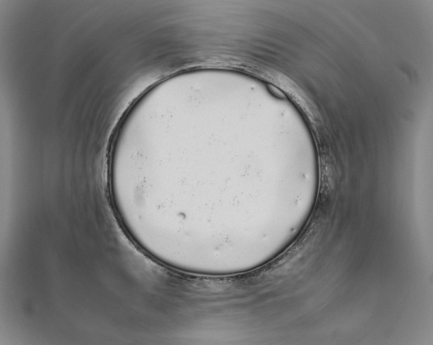 X0000112041095200908311231