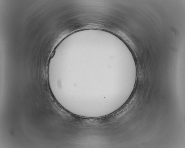 X0000112041097200908311231
