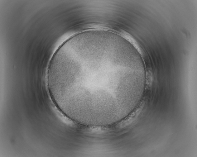 X0000112041098200908311231