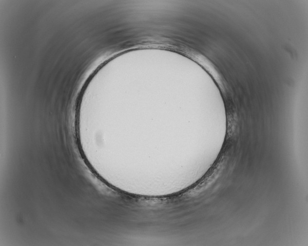 X0000112041099200908311231