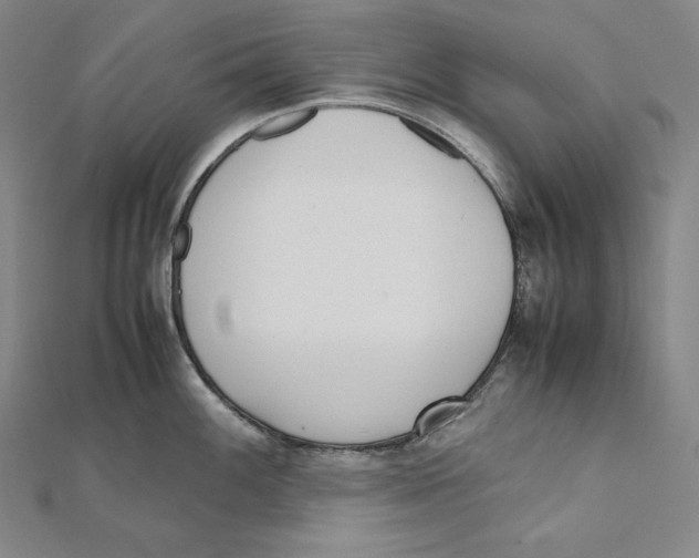 X0000112041100200908311231