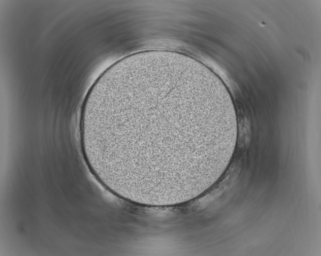 X0000112041103200908311231