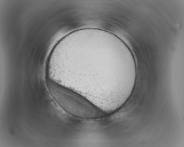 X0000112041104200908311231