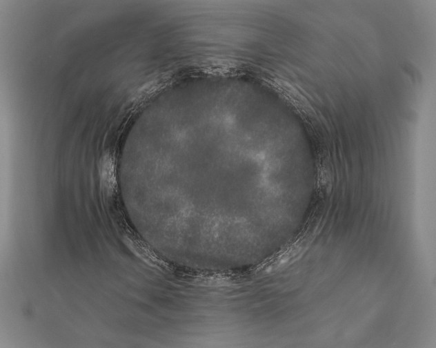 X0000112041106200908311230