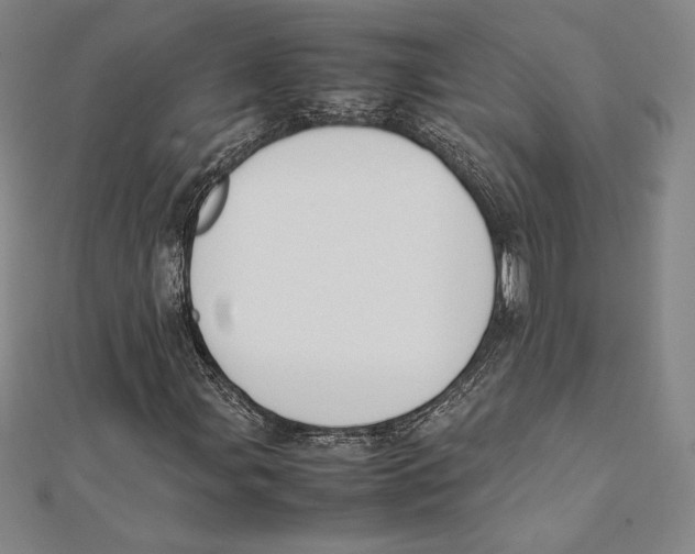 X0000112041107200908311230