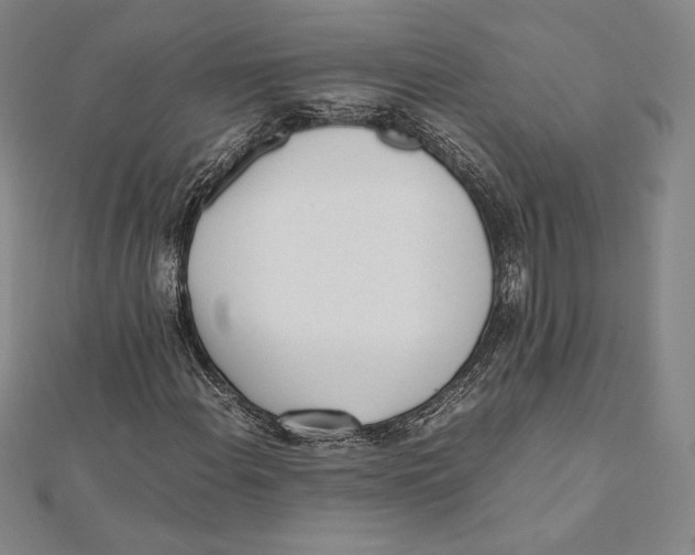 X0000112041108200908311230