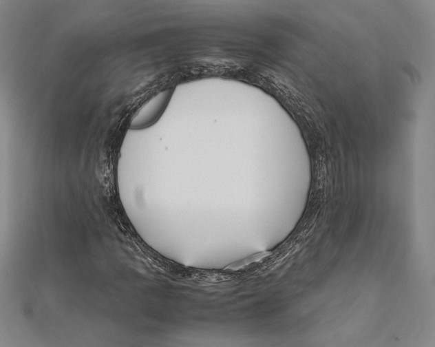 X0000112041109200908311230