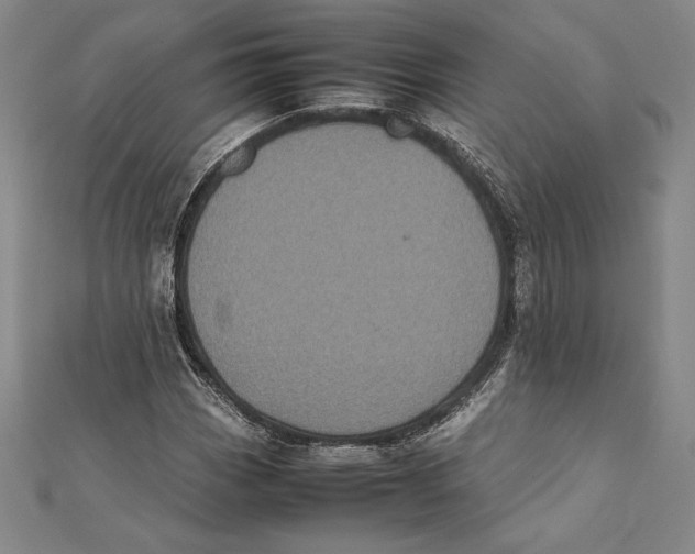 X0000112041113200908311230