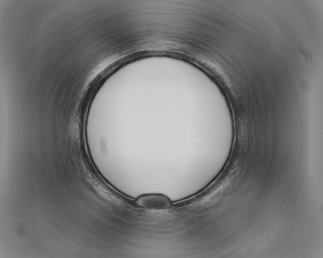 X0000112041114200908311230
