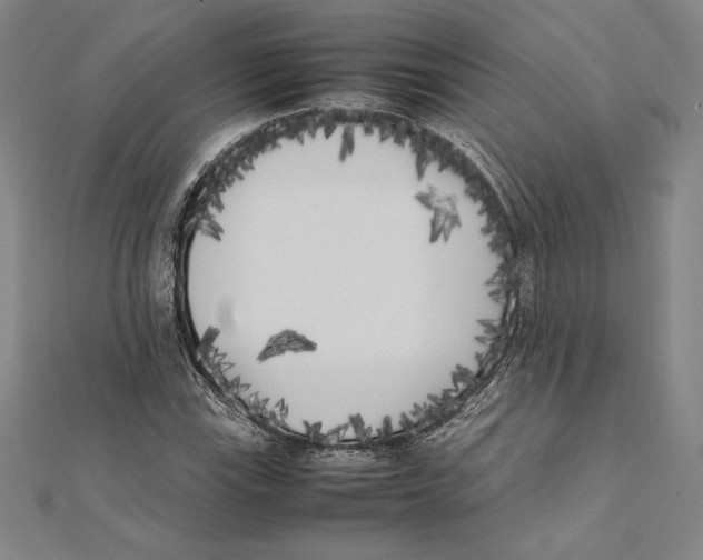 X0000112041115200908311230