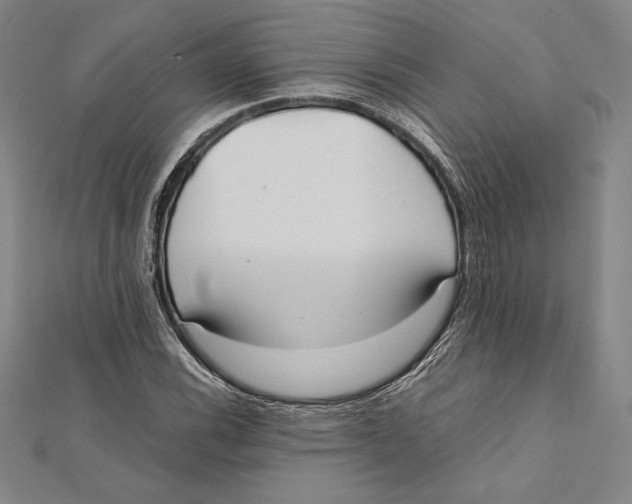 X0000112041116200908311230