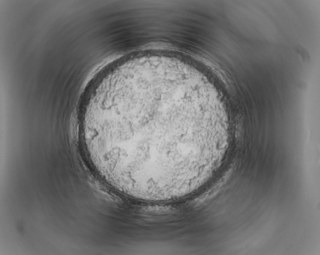 X0000112041117200908311230