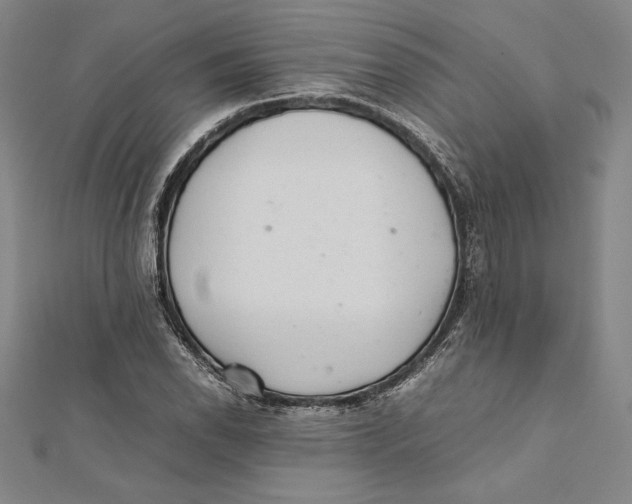 X0000112041118200908311230
