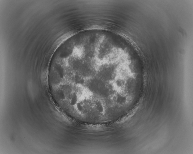 X0000112041121200908311230