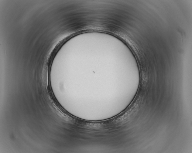 X0000112041123200908311230