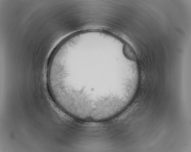 X0000112041124200908311230