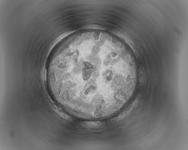 X0000112041125200908311230