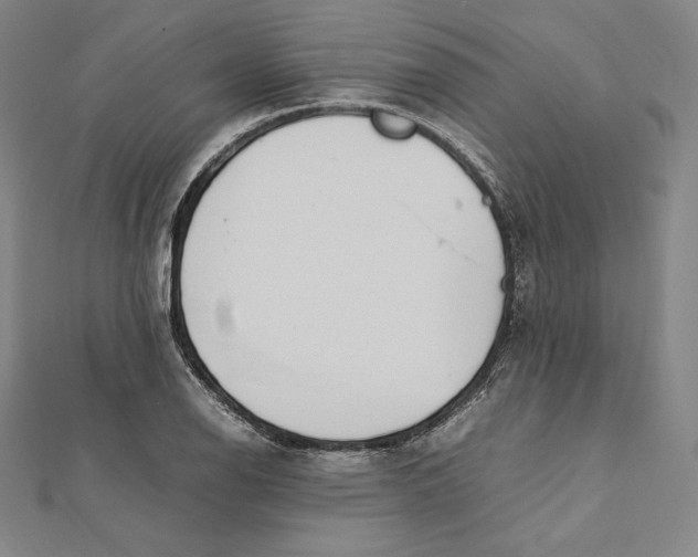 X0000112041126200908311230