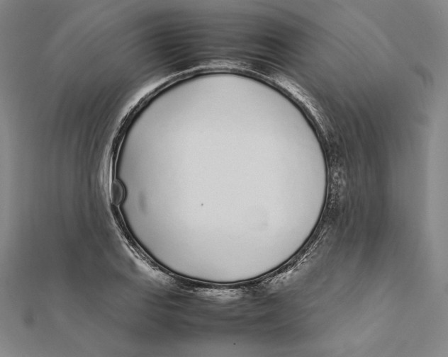 X0000112041127200908311230