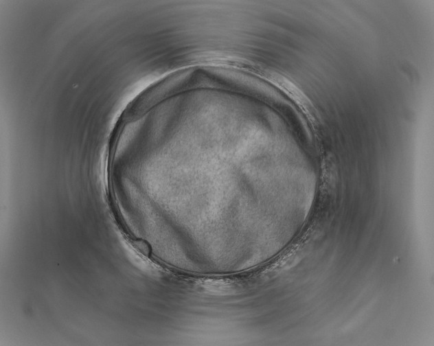X0000112041128200908311230