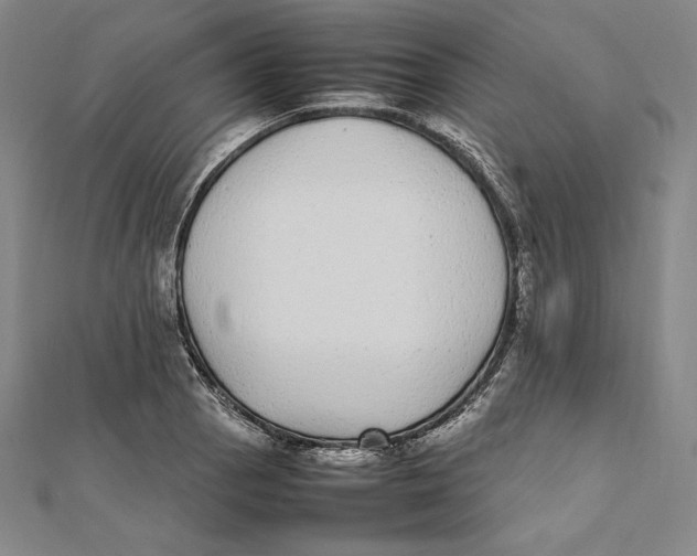 X0000112041129200908311230