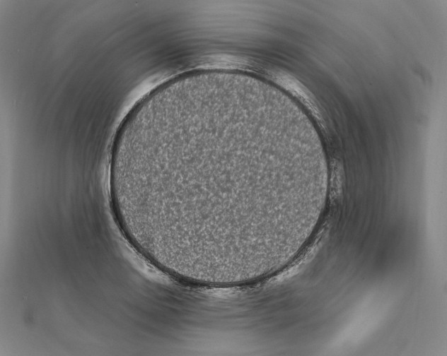 X0000112041130200908311230