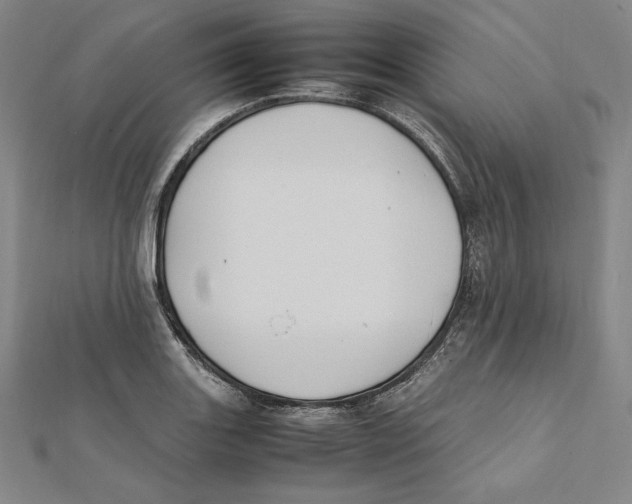 X0000112041131200908311230