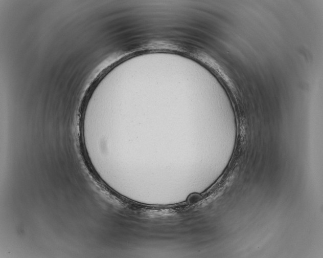 X0000112041133200908311231