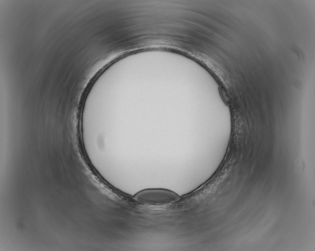 X0000112041134200908311231