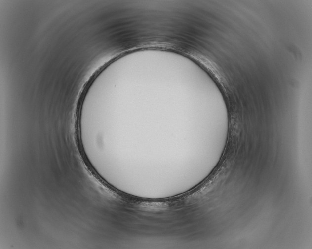 X0000112041135200908311231