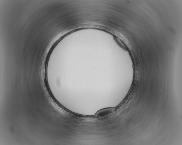 X0000112041136200908311231