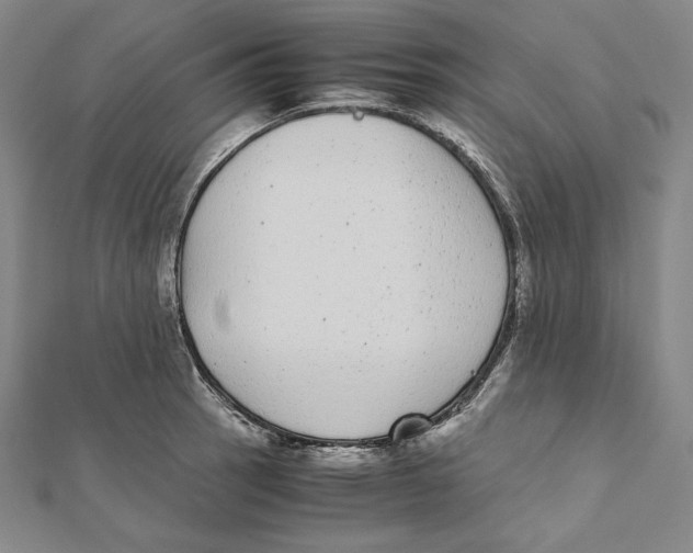 X0000112041137200908311231
