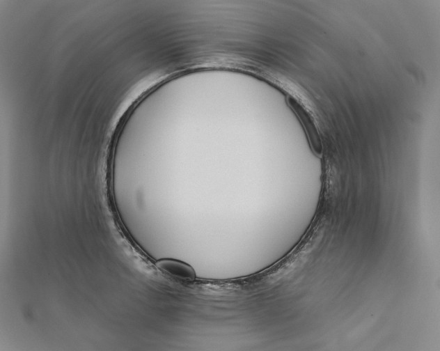 X0000112041138200908311231