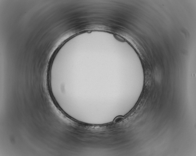 X0000112041139200908311231