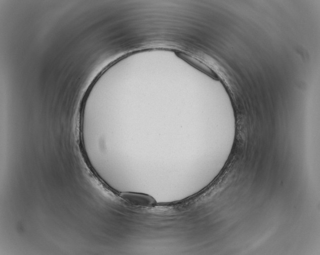 X0000112041140200908311231
