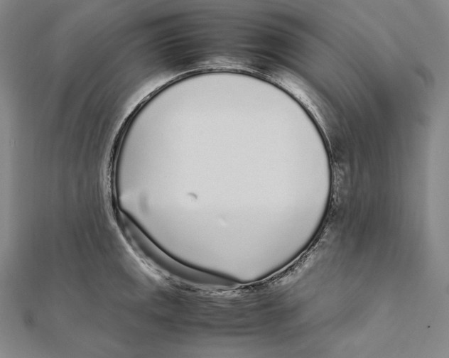 X0000112041141200908311231